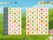 Mojicon Spring Connect