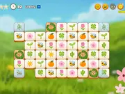 Mojicon Spring Connect