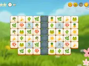 Mojicon Spring Connect