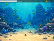 Path of the Predator: Evolution Underwater