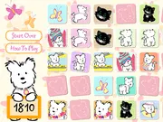 Coconut's Concentration Game