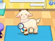 Sara Vet Life Ep:13 Goat