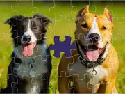 Cozy Jigsaw Puzzles