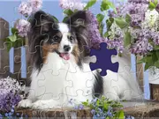 Cozy Jigsaw Puzzles
