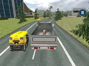 Animal Transport