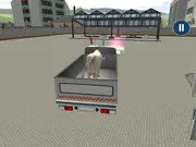 Animal Transport