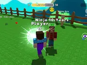 Block Battle - Noob vs Pro