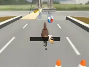 Animal Runner