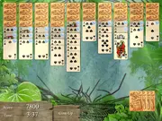 Jungle Spider Solitaire
