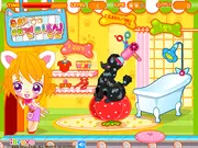 Sue's Dog Beauty Salon