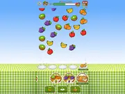 Fruits Into Baskets