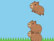 Capybara Stack