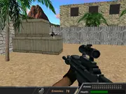 Rapid Gun