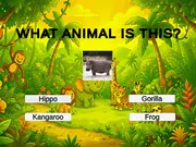 Animal Quiz