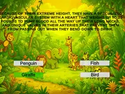 Animal Quiz