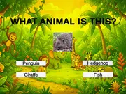 Animal Quiz