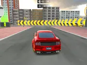 Real Car Driving