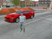 Real Car Driving