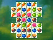 Match Dream Garden
