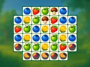 Match Dream Garden