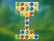 Match Dream Garden