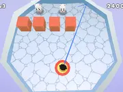 Polar Dash