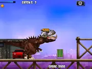 Miami Rex