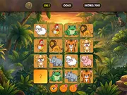 Safari Match