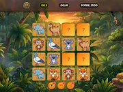 Safari Match