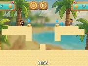Duo Summer Bombs