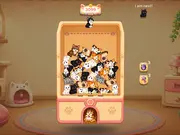 Kitty Cash