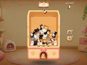 Kitty Cash