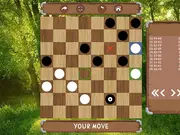 Classic Checkers: Forest