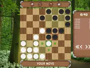 Classic Corners: Forest