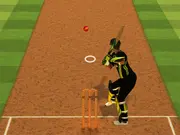 Cricket Batter Challenge