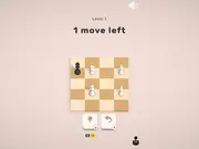 Mate in Chess