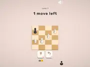 Mate in Chess