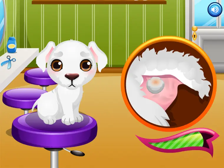 Stray Puppy Care