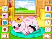 Pregnant Pig New Babies