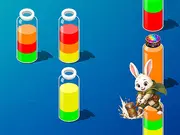 Water Sort Brain Puzzles