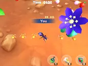 Ants io