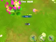 Ants io