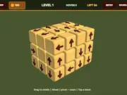 Solve the Arrow Cube