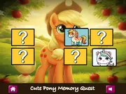 Cute Pony Memory Quest