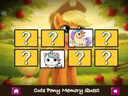 Cute Pony Memory Quest
