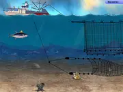 Ocean Survivor