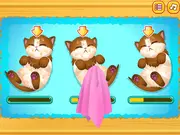 Cute Kitty Pregnant