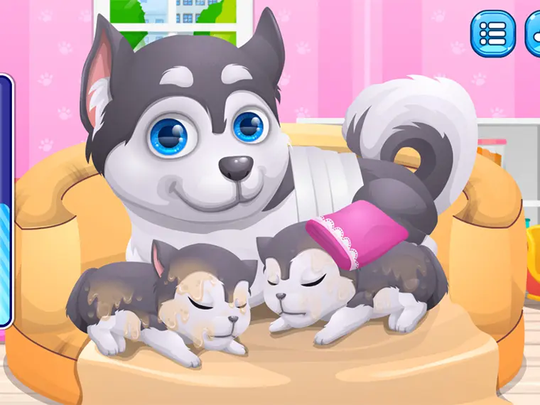 Cute Puppy Pregnant