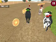 Angry Bull Racing