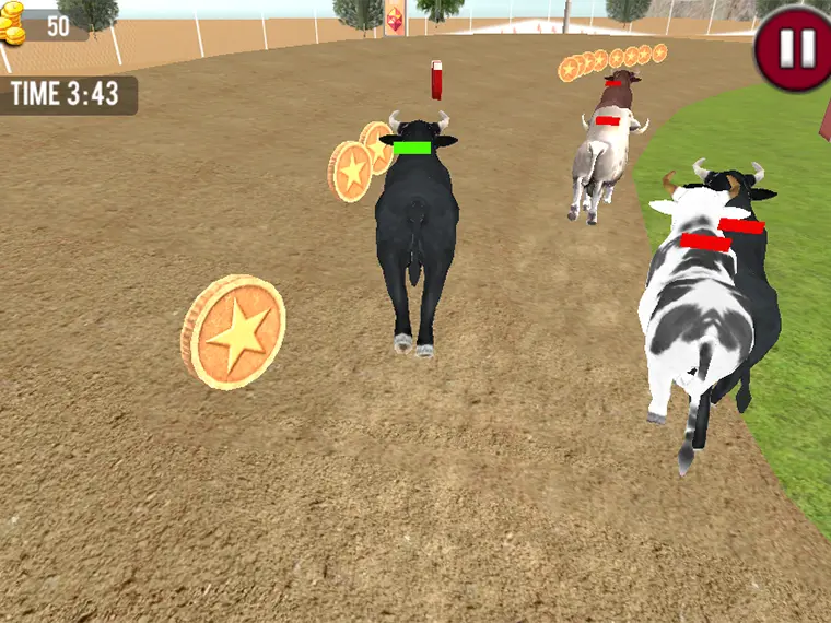 Angry Bull Racing